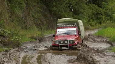 Bolivie : les Yungas, au-delà des nuages