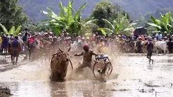 Les routes de l'impossible Sumatra, maudits trésors