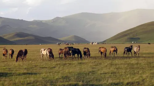 Les routes de l'Orient