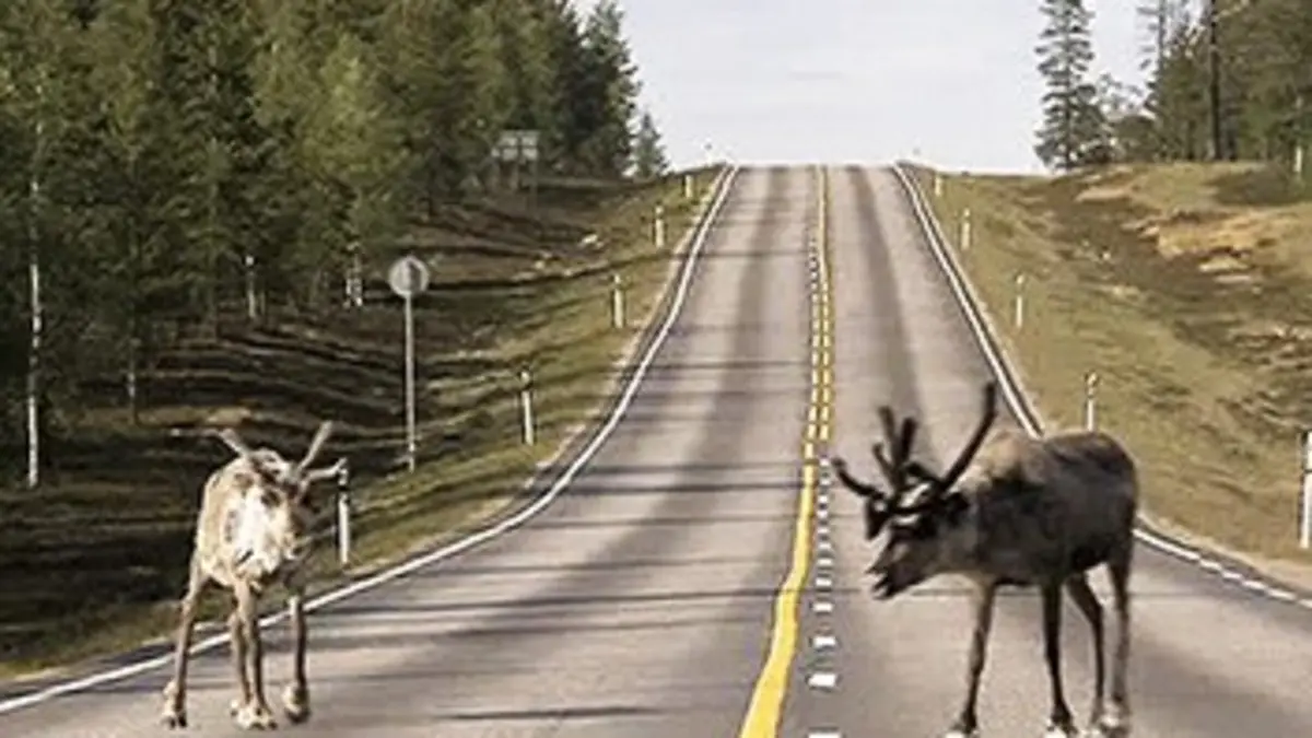 Les routes mythiques S05E01 La Translaponie, la route sans nuit
