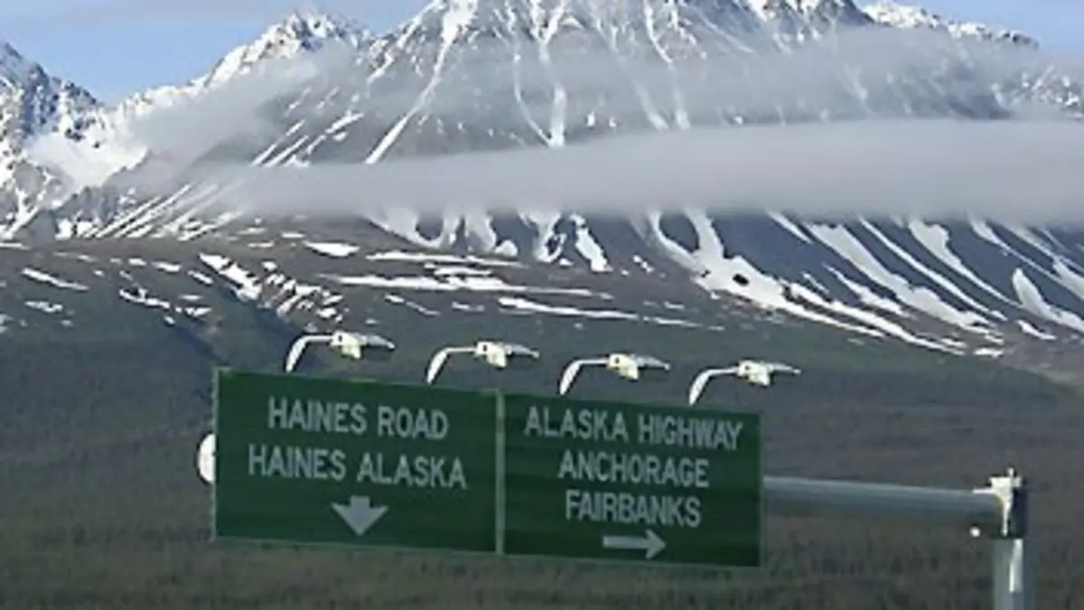 Les routes mythiques S03E08 La Panaméricaine, de Vancouver à Anchorage