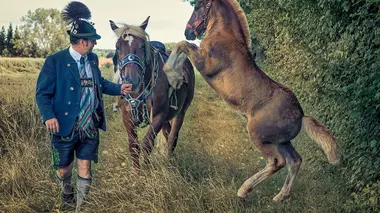 La Via Julia en Allemagne