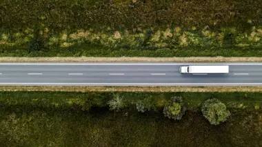 Sophia et l'ours du Jura