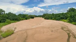 Les saisons de la Luangwa