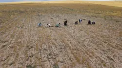 Les sanctuaires d'épices Le cumin de Turquie