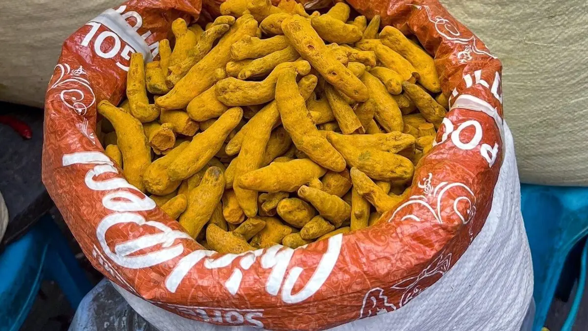 Les sanctuaires d'épices Curcuma, le safran des Indes