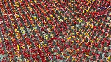 Crocus de Kozani, le safran grec