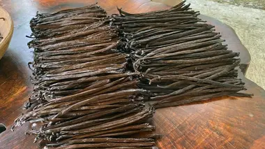 Le Mexique et la vanille