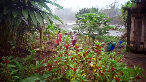 Les sanctuaires d'épices