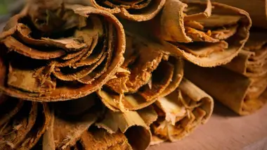La cannelle du Sri Lanka