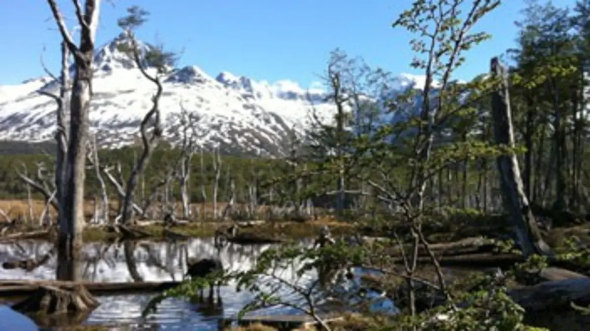 Les secrets d'Ushuaïa