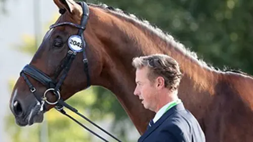 Les secrets de Carl Hester E02 Les chevaux de Carl Hester