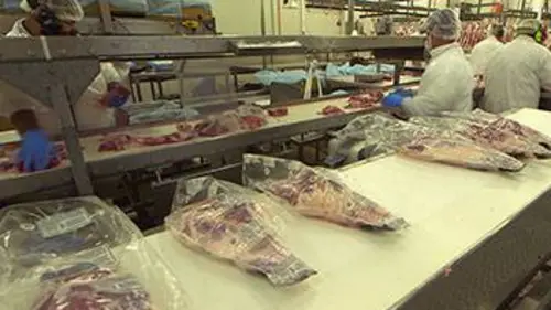 Les secrets de l'agneau pascal