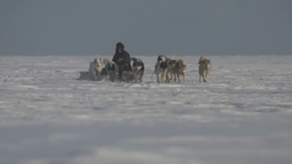 Les secrets de l'Arctique E02 L'île Devon, terre de glace