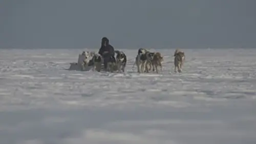 Les secrets de l'Arctique E02 L'île Devon, terre de glace