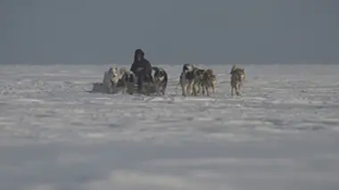 Les secrets de l'Arctique E02 L'île Devon, terre de glace