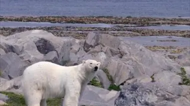 Les secrets de l'Arctique S02E02 Le Yukon, lieu de renaissance