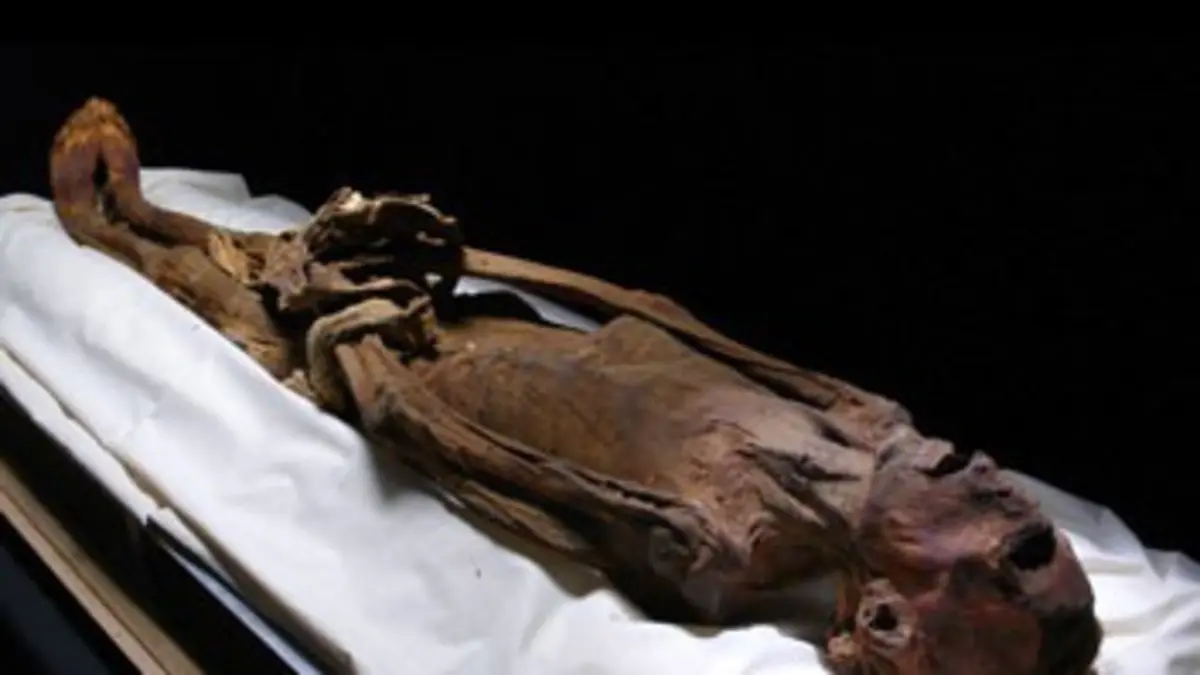 Les secrets de l'Egypte antique L'inconnu de Deir El-Bari