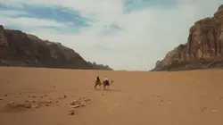 Les secrets de l'évolution Les clés de la survie