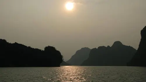 Les secrets de l'évolution Les clés de la survie