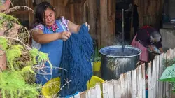 Les secrets de l'indigo