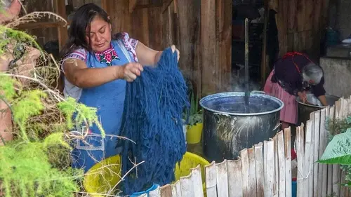 Les secrets de l'indigo