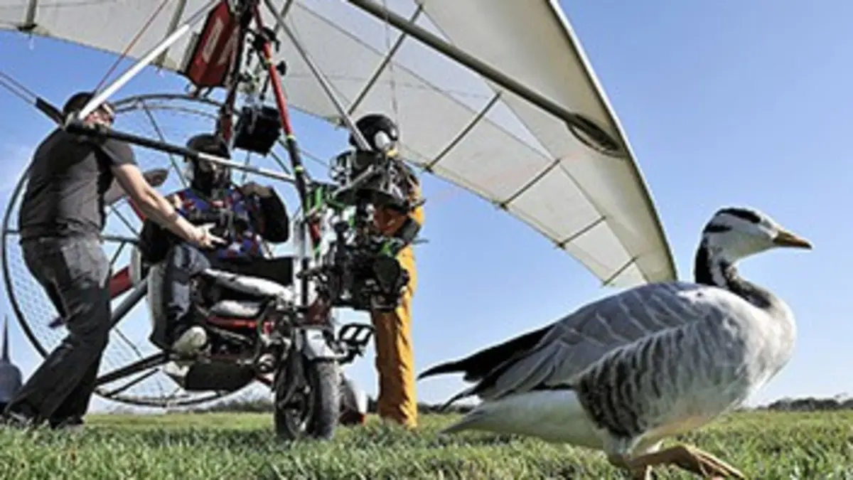 Les secrets de la plus belle ville du monde