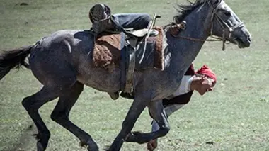 Terres sauvages d'Asie Centrale