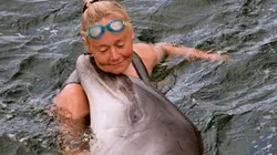 Visuel de Les secrets de Mara la dauphine