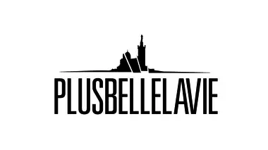 Les secrets de "Plus belle la vie" Vies cachées / vies volées...