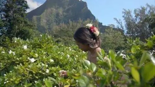 Les secrets de Tahiti