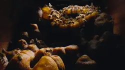 Les secrets des abeilles