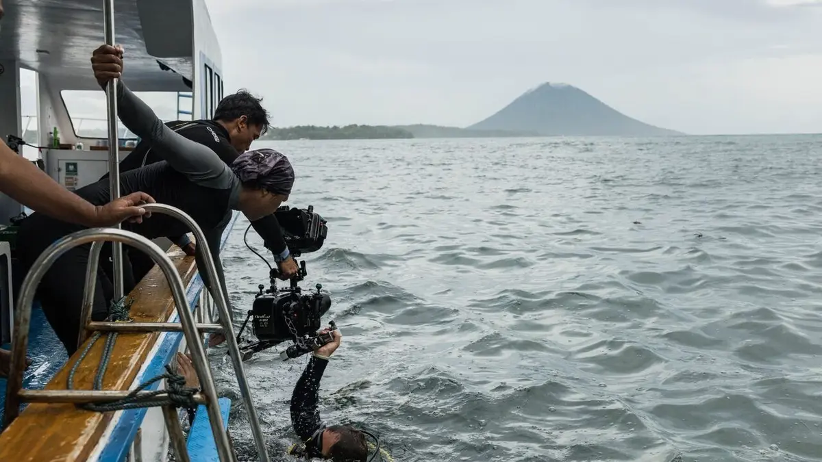 Les Secrets des pieuvres