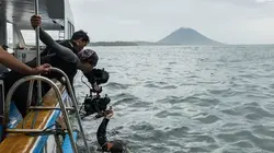 Les Secrets des pieuvres