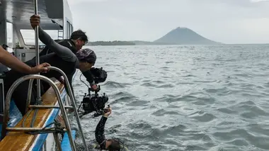 Des animaux connectés