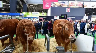 Salon de l'agriculture : les jeunes font leur révolution