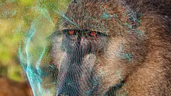 Sur Science & Vie TV à 20h45 : Les secrets du big data