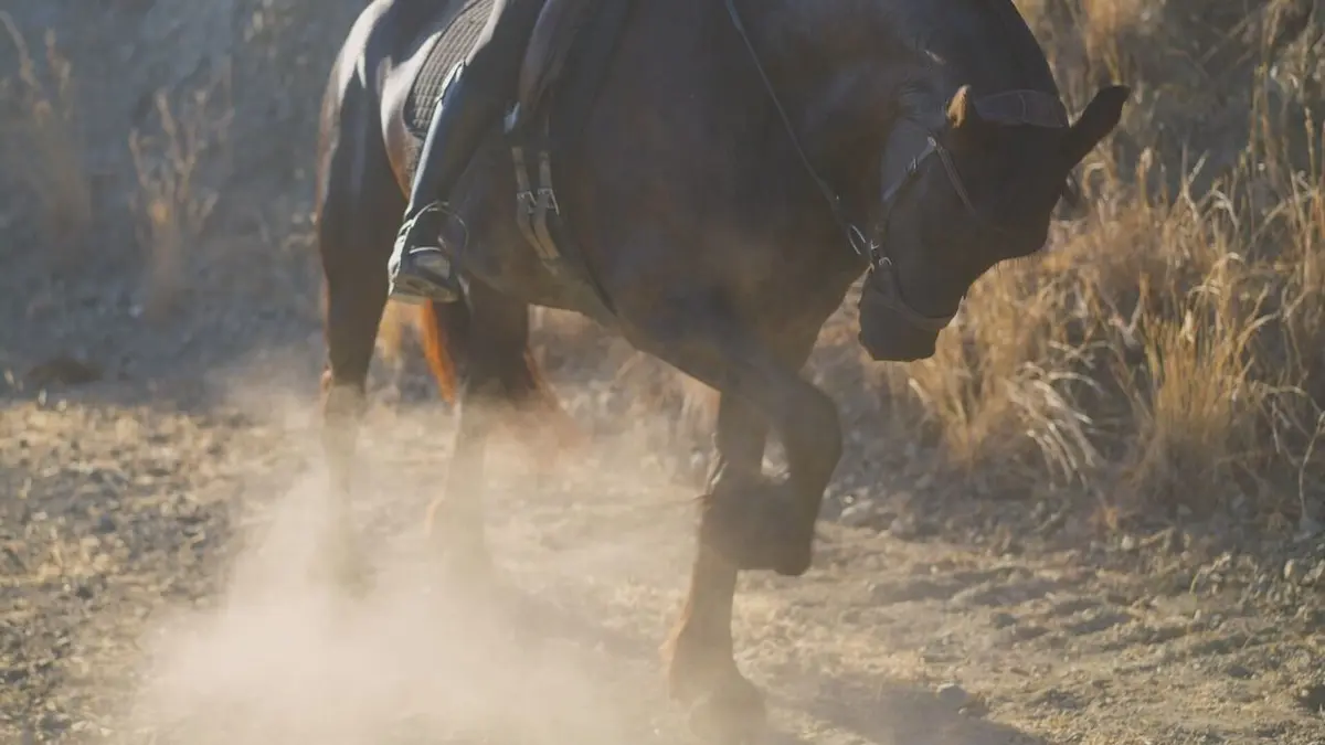 Visuel de Les secrets du big data Rise of the Autonomous