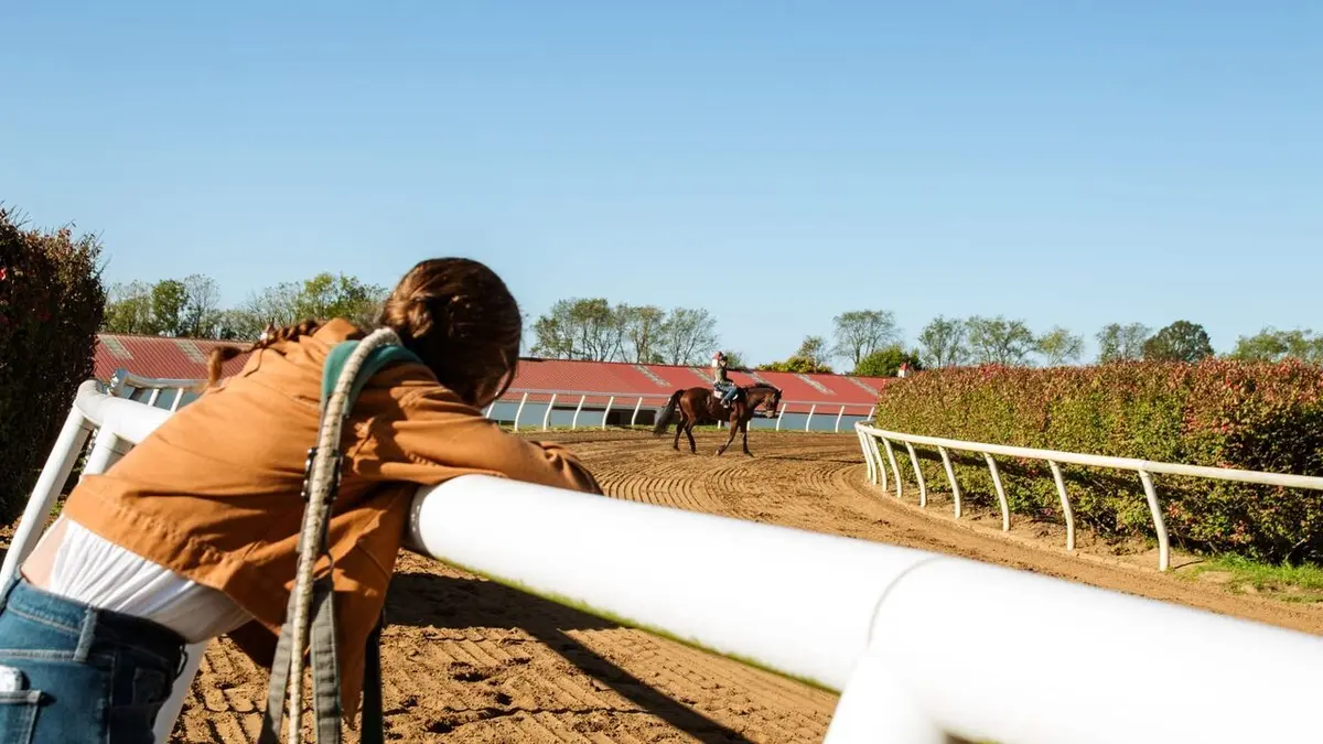 Visuel de Les secrets du domaine Rosemont
