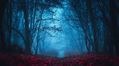 Les secrets du paranormal