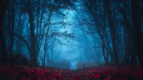 Les secrets du paranormal S01E10