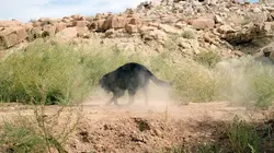 Les secrets du Skinwalker Ranch