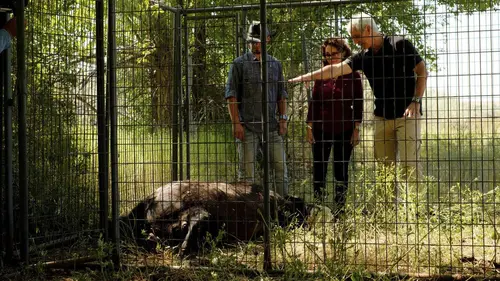 Les secrets du Skinwalker Ranch