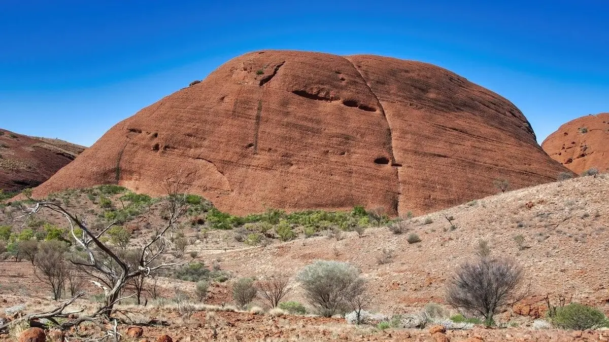 Les secrets du tigre de Tasmanie