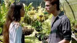 Les secrets du volcan