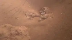 Les secrets engloutis Hollywood