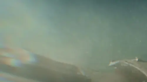Les secrets engloutis La Mer des Vikings