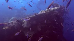 Les secrets engloutis Les mondes perdus de la Méditerranée