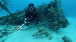 Les secrets engloutis Naufrages en Atlantique