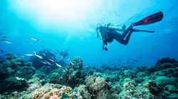 Les secrets engloutis Les U-Boots meurtriers